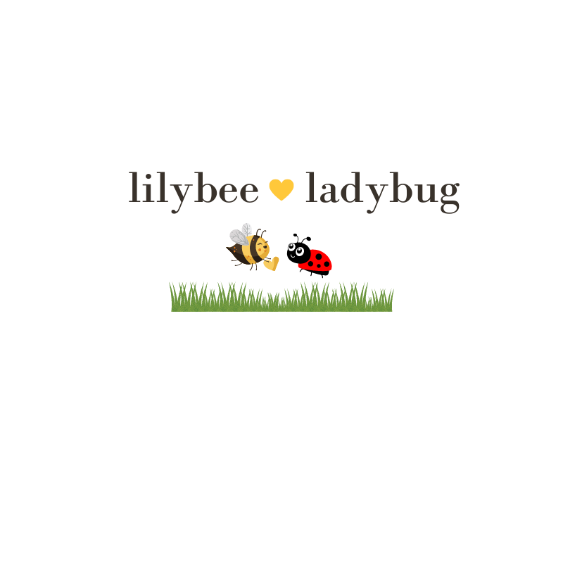 lilybeeladybug